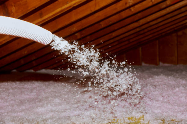 Professional Insulation Contractor in De Soto, IL