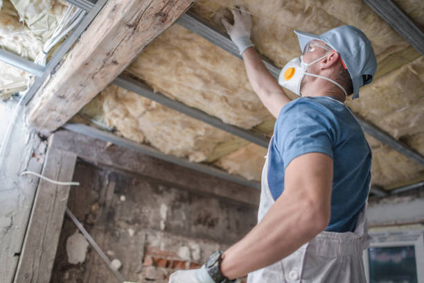 Best Residential Insulation in De Soto, IL