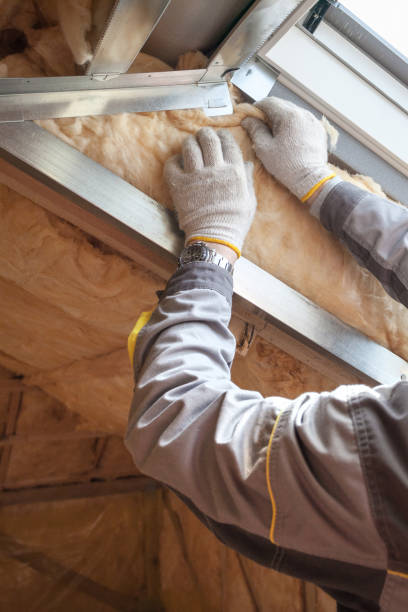 Best Residential Insulation in De Soto, IL