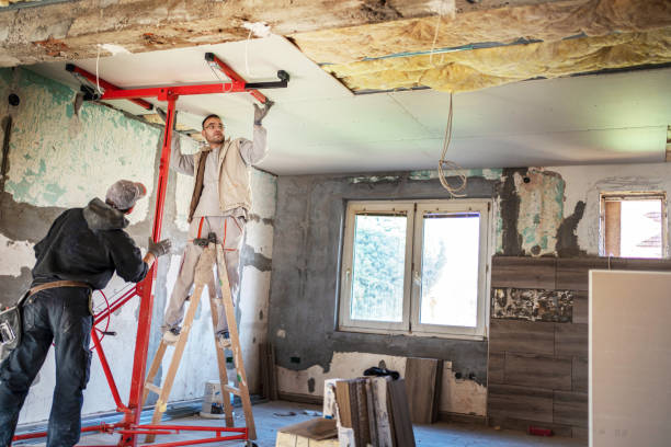 Best Specialized Insulation Services in De Soto, IL