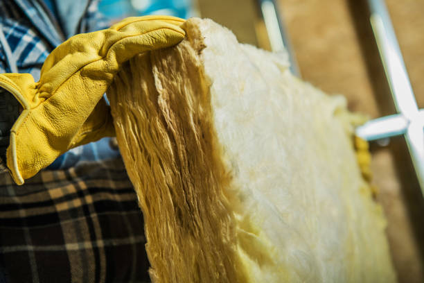 Best Insulation Maintenance and Repair in De Soto, IL