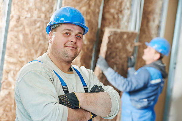Best Cellulose Insulation in De Soto, IL