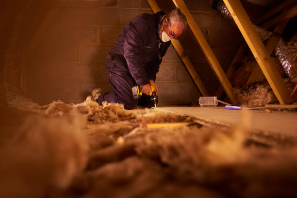 Professional Insulation Contractor in De Soto, IL